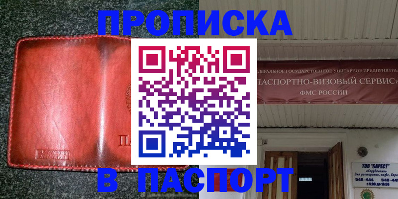 временная прописка в Щиграх
